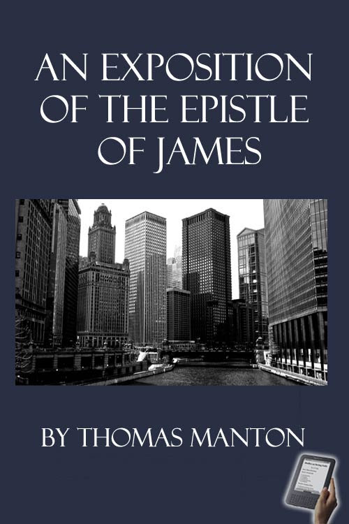 A Practical Commentary, or an Exposition With Notes on the Epistle of James: Delivered in Sundry Weekly Lectures at Stoke-Newington in Middlesex, Neer London (Classic Reprint)