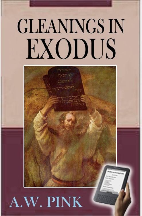 Gleanings In Exodus