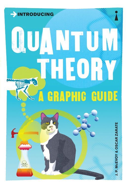Introducing Quantum Theory: A Graphic Guide