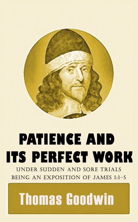 Patience and Its Perfect Work