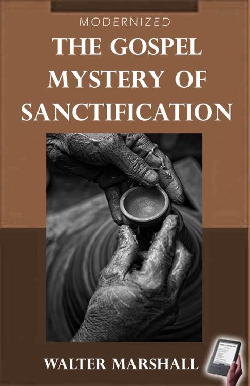 Gospel Mystery of Sanctification