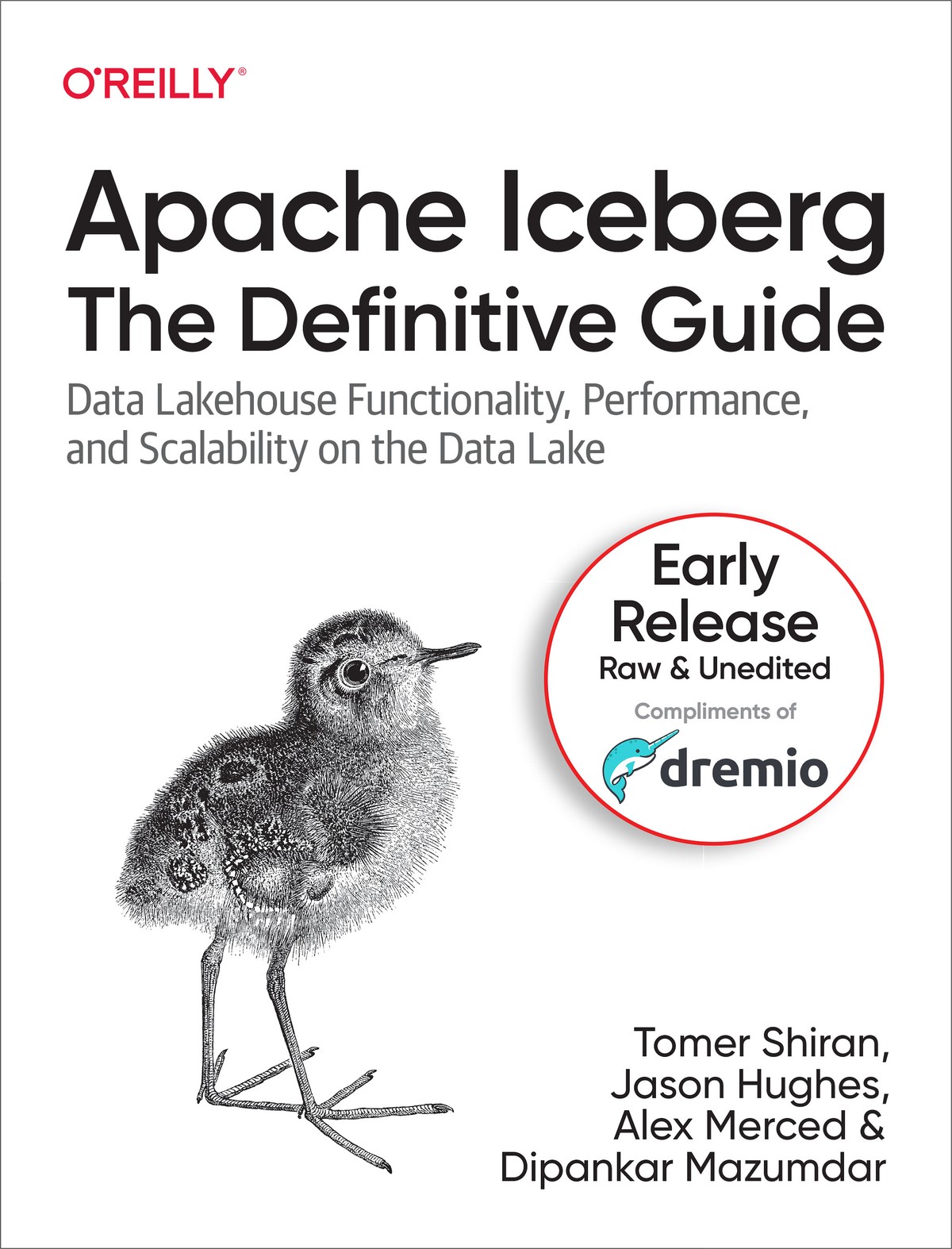 Apache Iceberg: The Definitive Guide