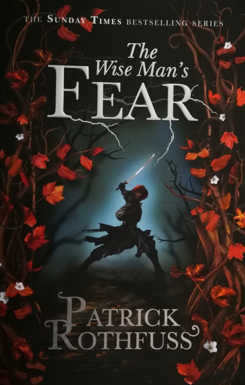 The Wise Man's Fear